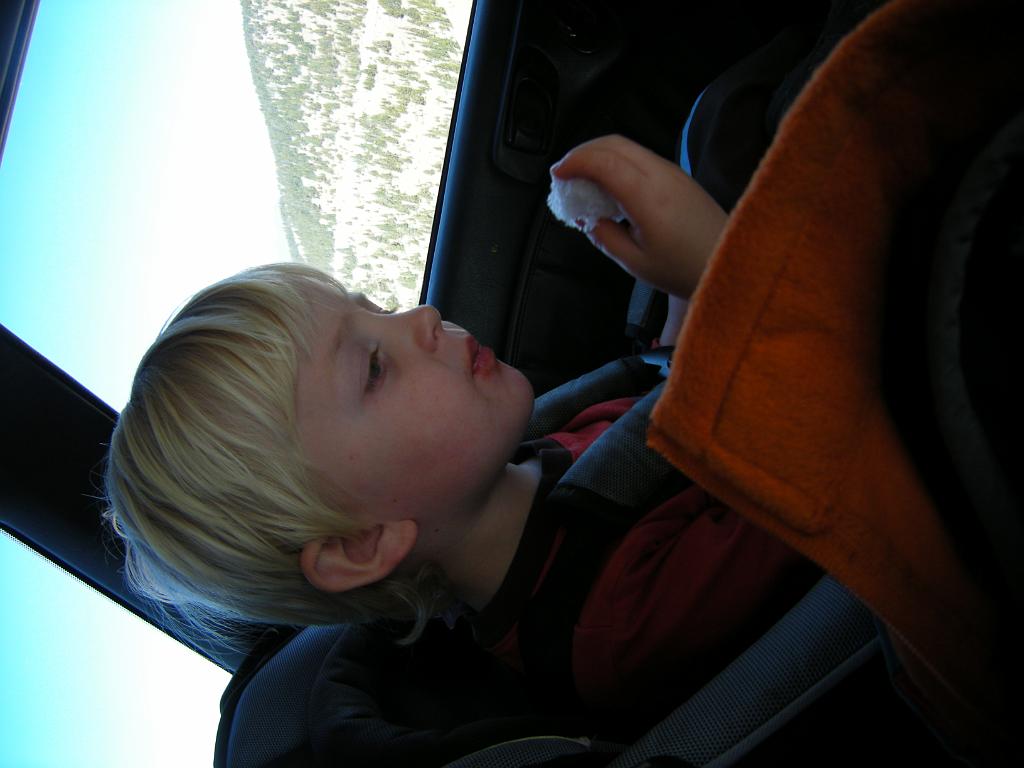 fall09 039